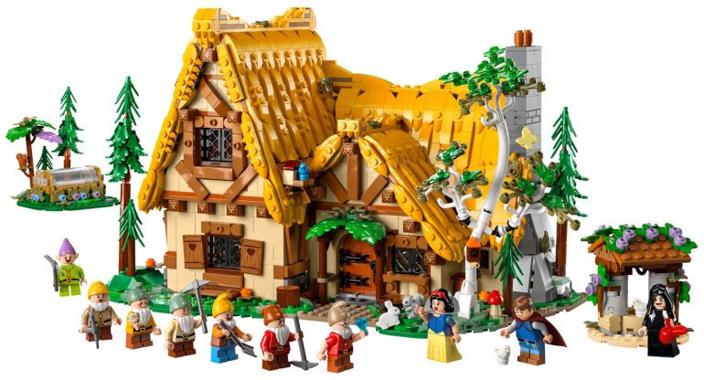 LEGO 43242