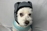 Cuffie cancellazione attiva del rumore per cani