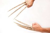 artigli-ossei-wolverine