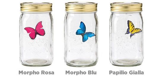 My Butterfly My Butterfly: Morpho Rosa, Morpho Blu, Monarca e Papilio Gialla