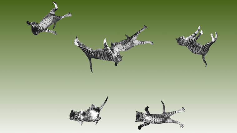 Siti divertenti (cat-bounce.com)
