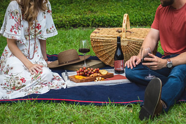 Pic-nic