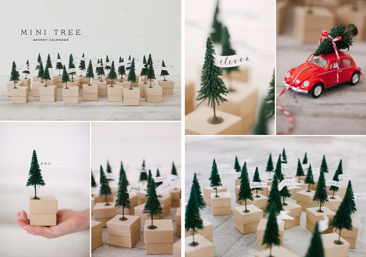Calendario dell'avvento con mini foresta