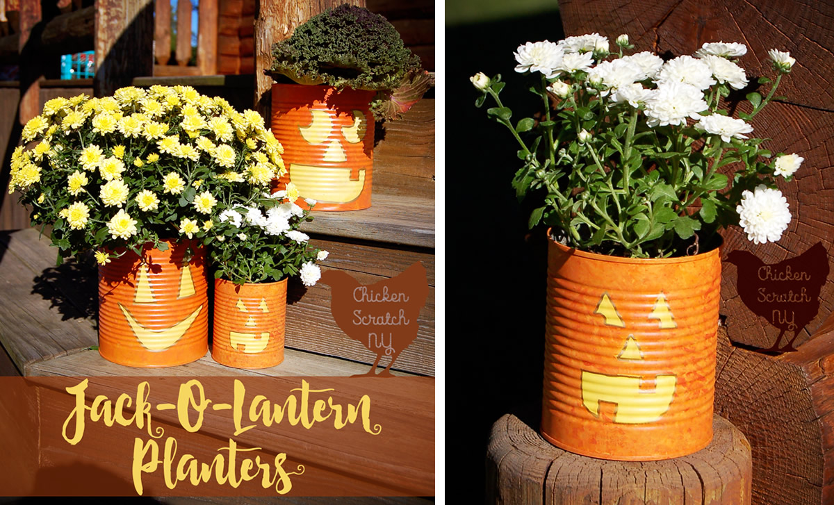 Coprivasi Jack o' Lantern con barattoli
