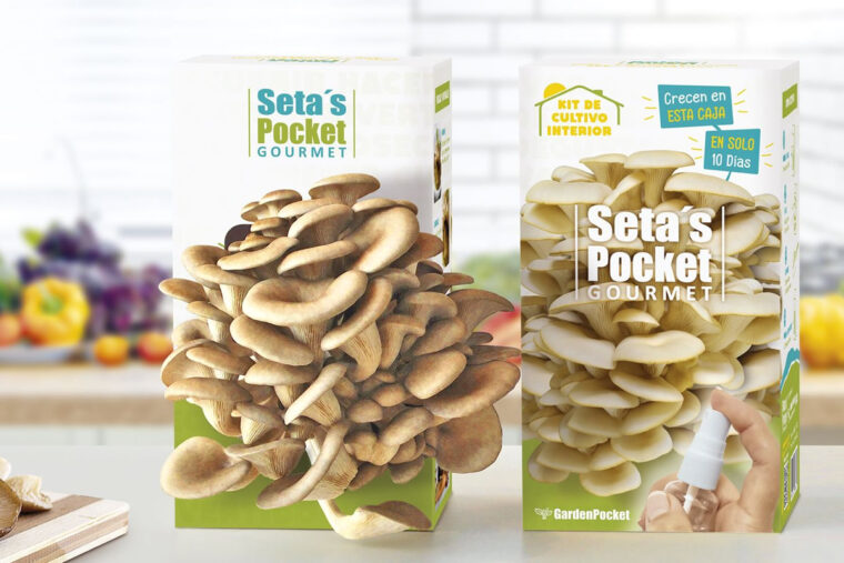 Kit per coltivazione funghi