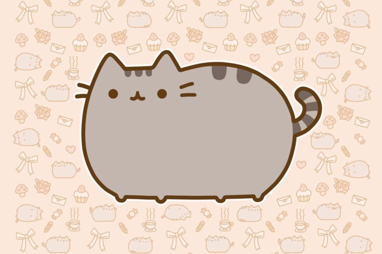 pusheen cat