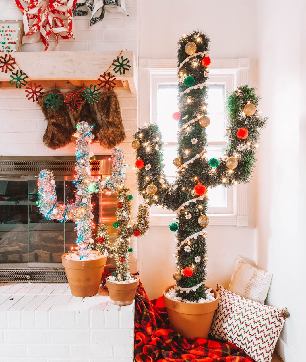 Cactus di Natale
