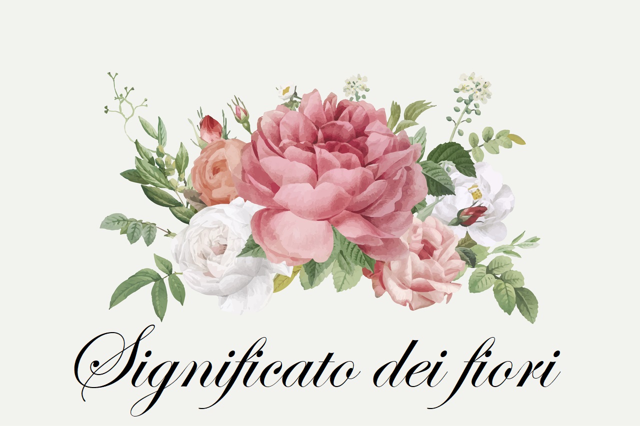 significato dei fiori