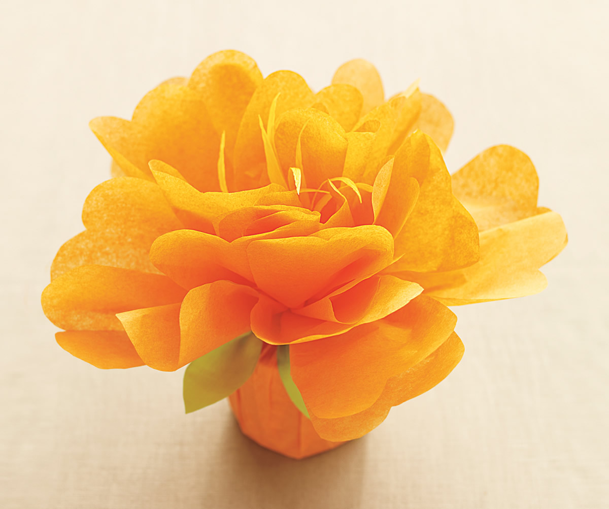 Pacchetto con fiore di carta velina