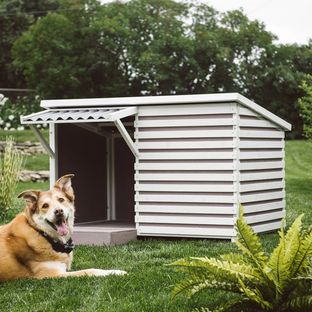 Cuccia moderna per cani