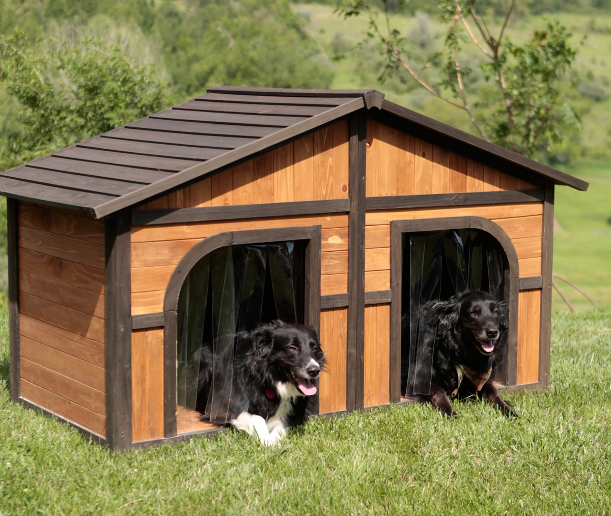 Cuccia doppia per cani