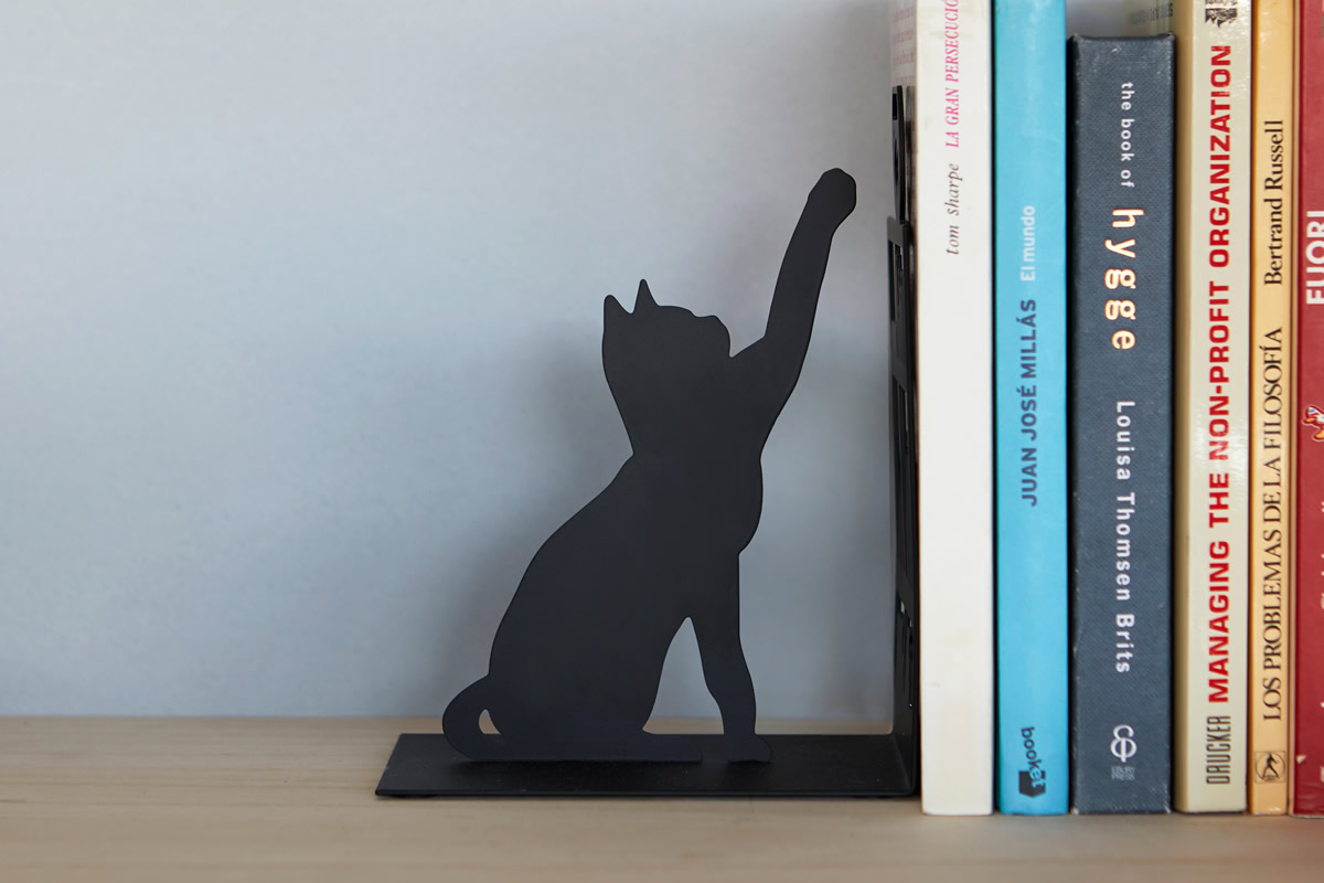 Fermalibri gatto