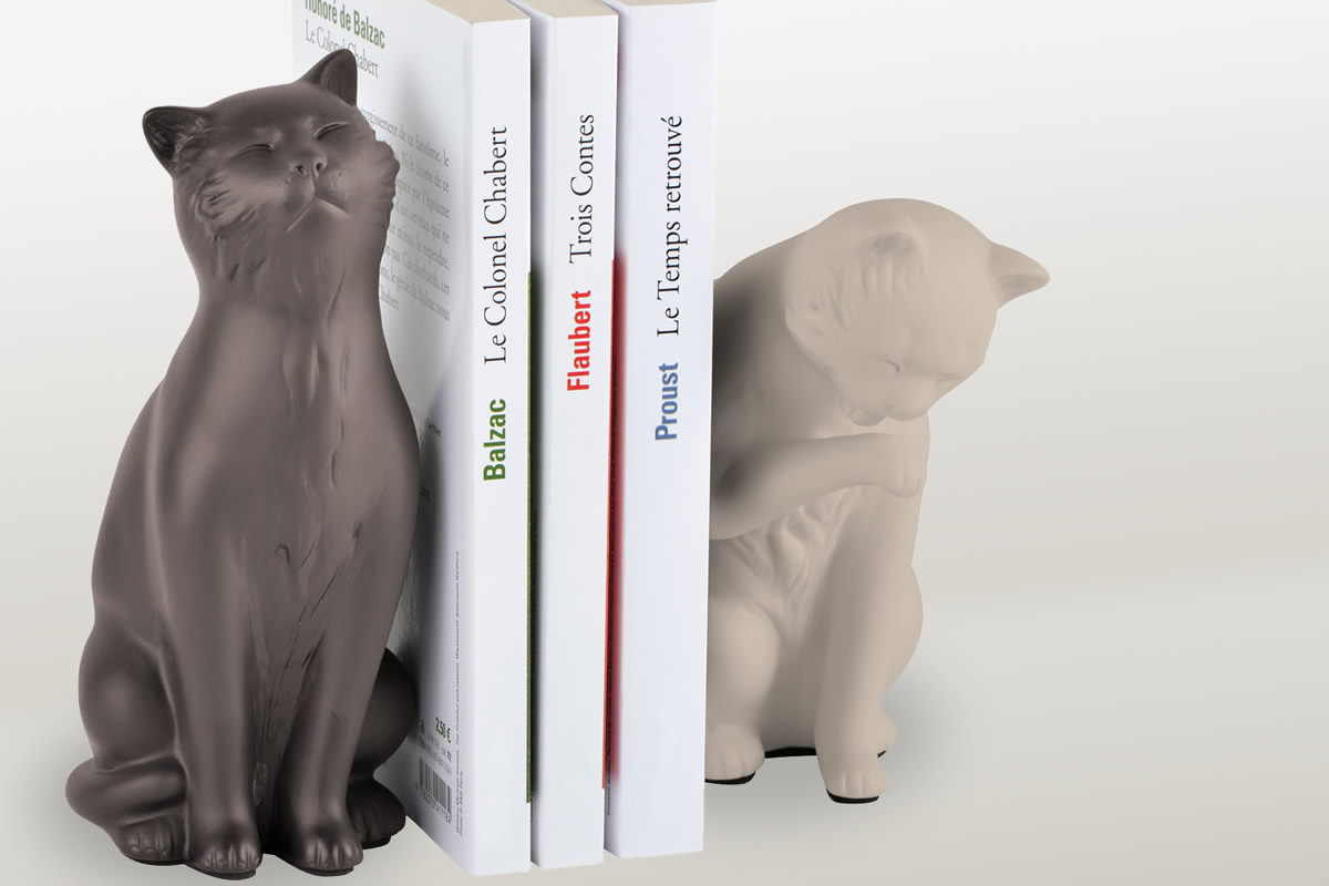 Gatti fermalibri