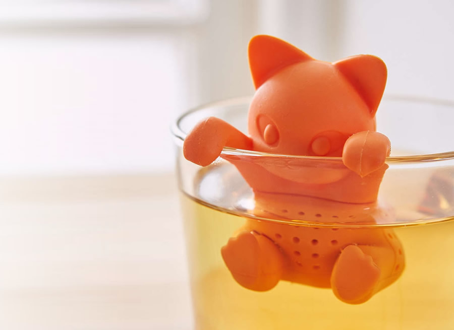 Infusore Gattino