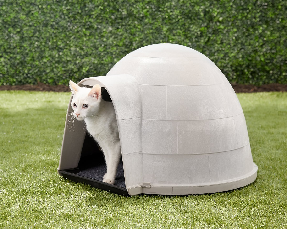 Igloo per gatti
