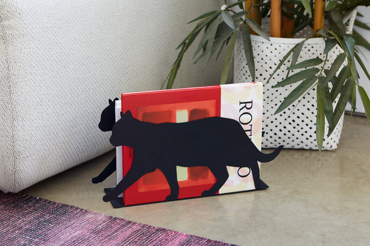 Gatto portariviste