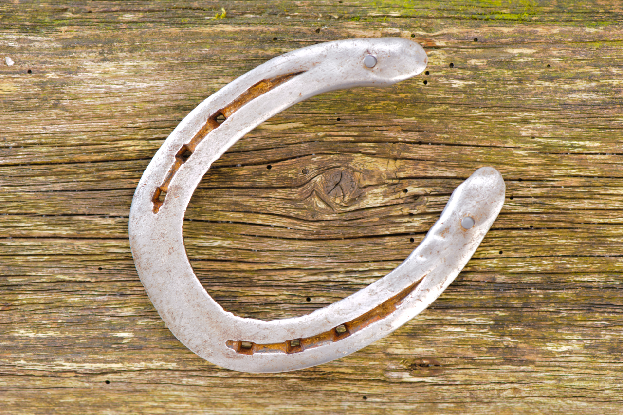 Ferro di cavallo portafortuna