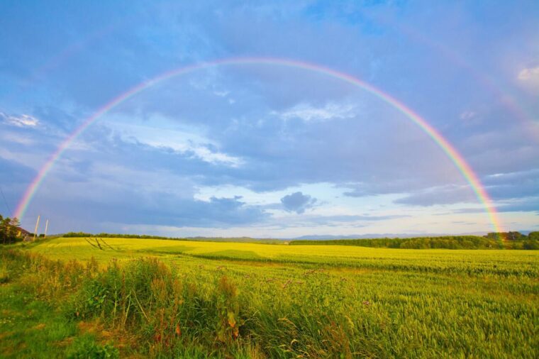 Quanti-colori-ha-un-arcobaleno