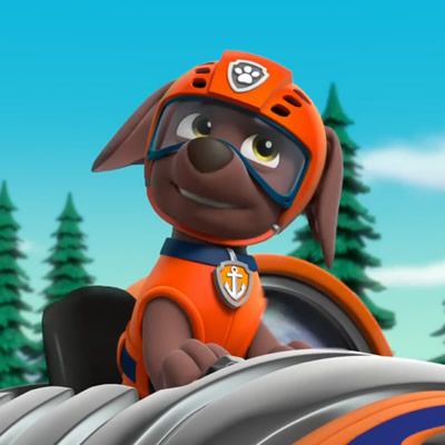 Zuma (Paw Patrol)