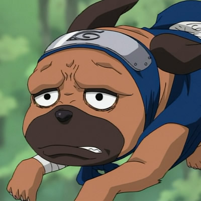 Pakkun (personaggi Naruto)