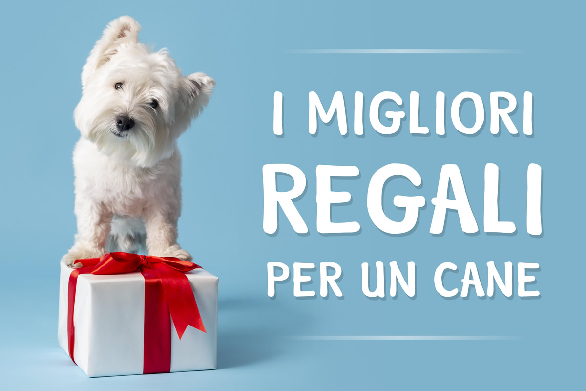 Regali per cane