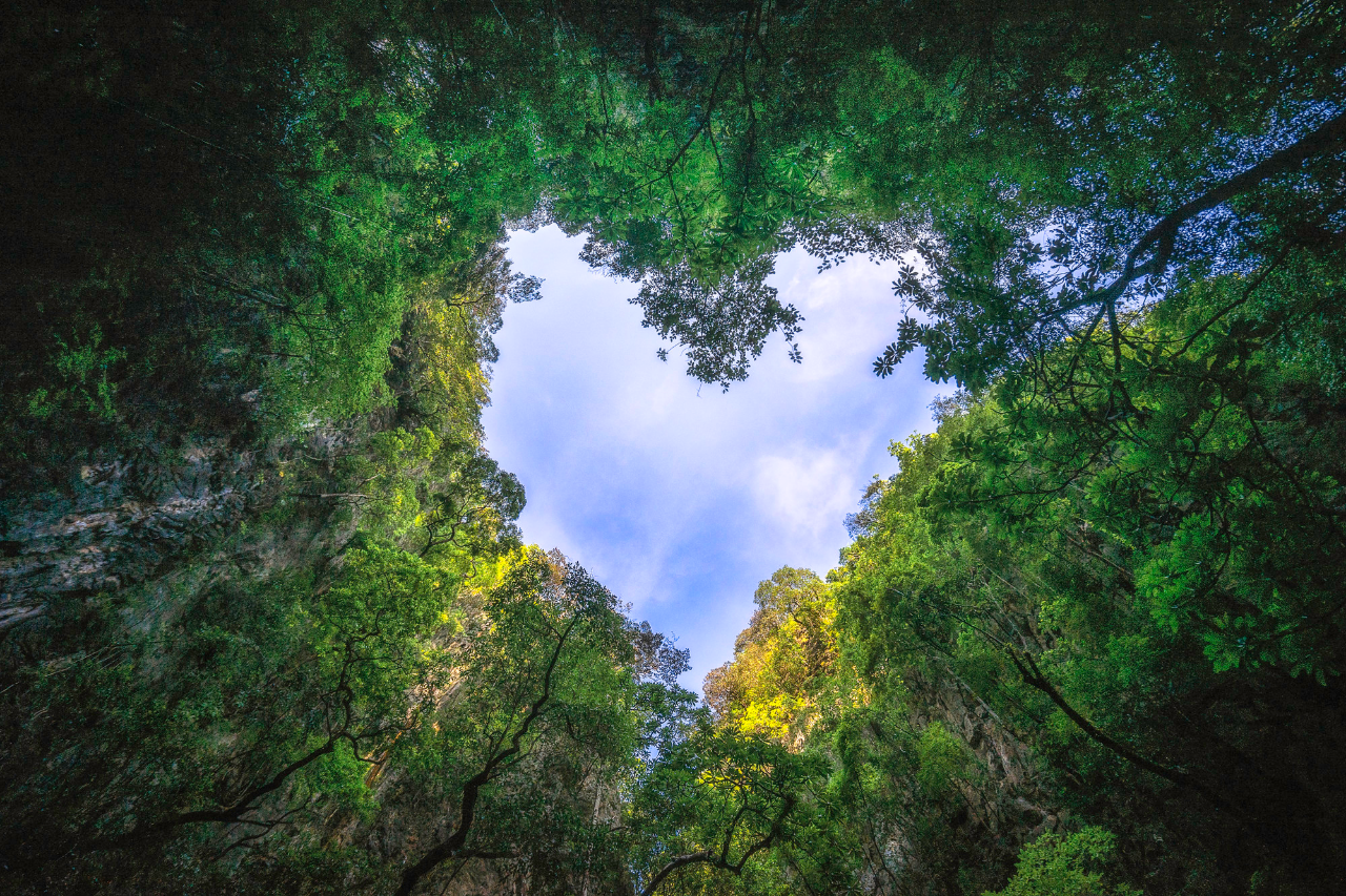 Regali per chi ama la natura