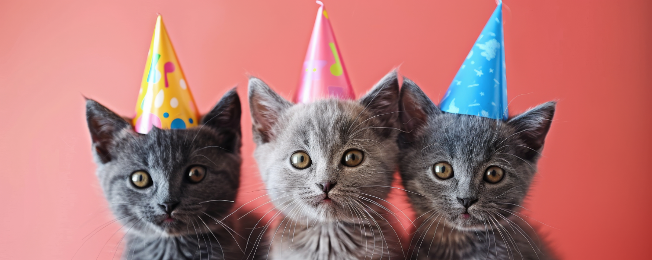 Festa del gatto