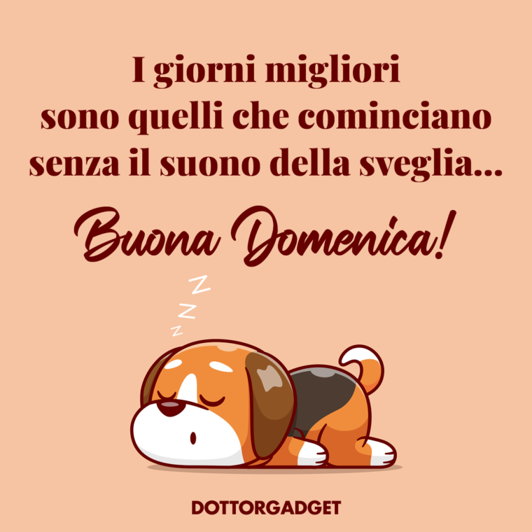 I giorni migliori sono quelli che cominciano senza il suono della sveglia... (Frasi di buona domenica)