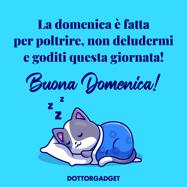 La domenica è fatta per poltrire, non deludermi e goditi questa giornata! (Frasi di buona domenica)